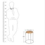 Steel Stool Gagan Enterprises Ludhiana