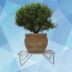 Homecare Stainless Steel Round Single Pot Stand